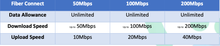 SKYBIZ Fiber Connect Plans