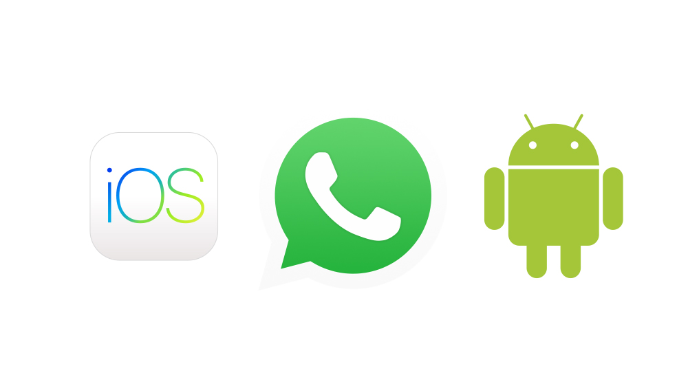 WhatsApp Chat Migration