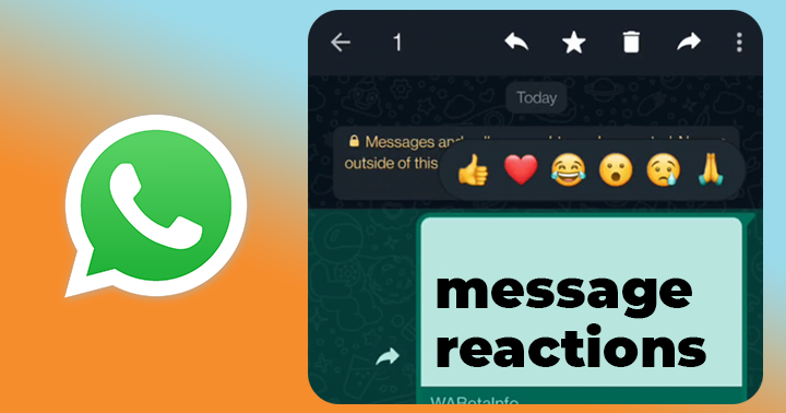 Whatsapp Message Reacts1.1