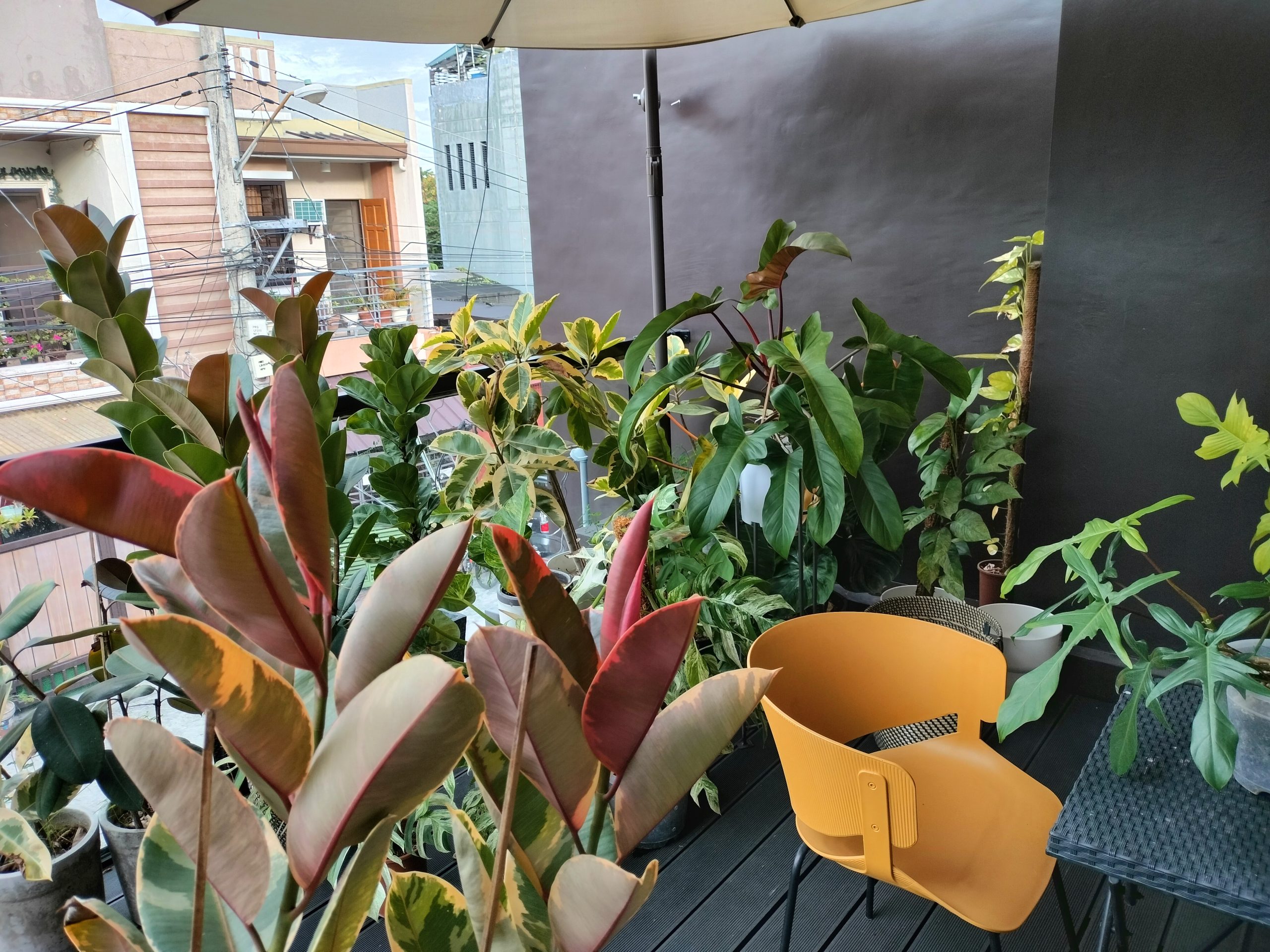 OnePlus Nord Ce 2 Lite 5G Sample Photos