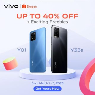 Vivo 33