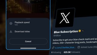 X Blue Download Video Fi