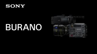 Sony Burano Fi 1