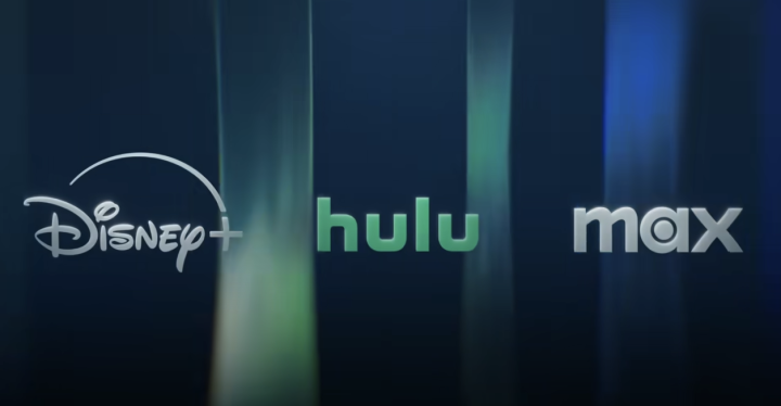 Disney Hulu Max Banner