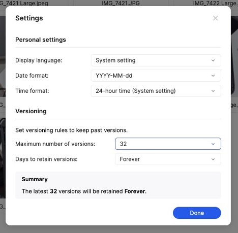 Beestastion Review File Versioning